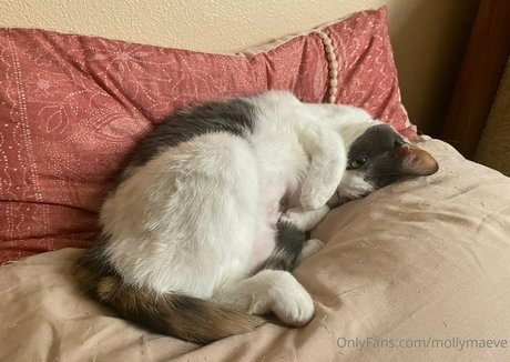 ルビーオンリーファン 美しい ギャラリー