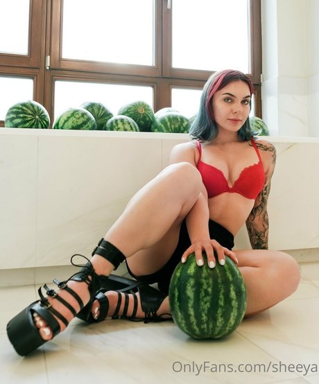 Xsheeya スター ギャラリー