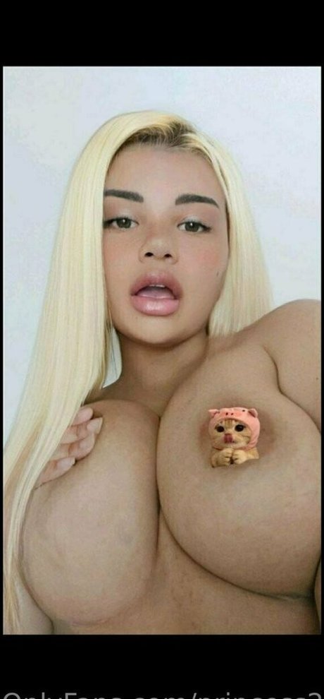 princess2087 裸のモデル 写真