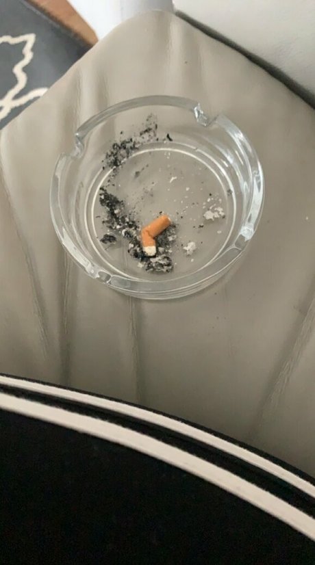 scarletjames301 かわいいポルノスター ギャラリー