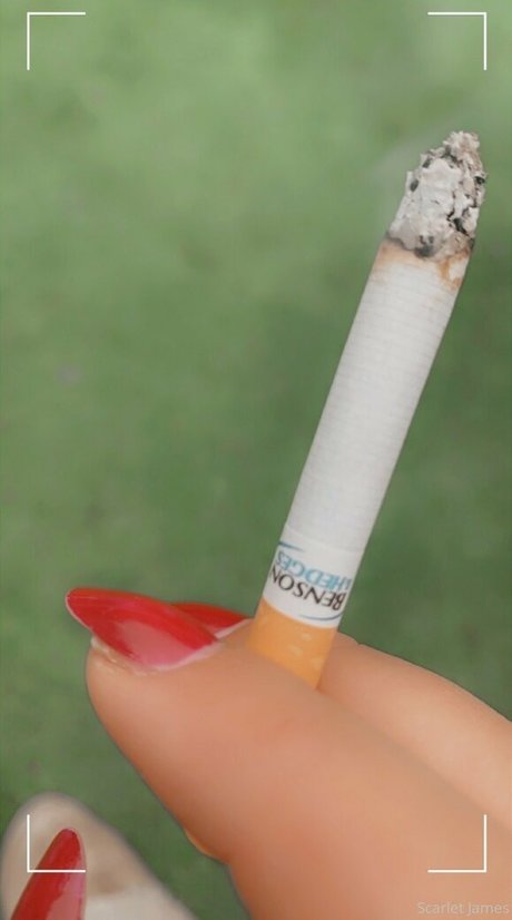 scarletjames301 XXXモデル 画像