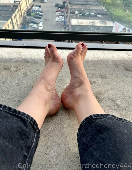 higharchedhoney444 トップポルノスター 写真