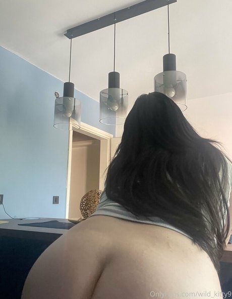 wild kitty9 top profile image