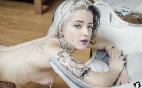 DMV オンリーファン アダルト 写真