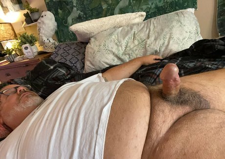 bearsorlando ホットスター ギャラリー