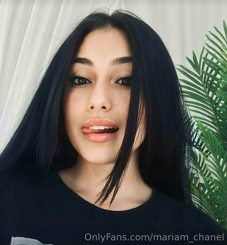 公共の場での猫のOnlyFans ヌード アーカイブ