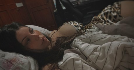 Gabimancinii アートスター 画像