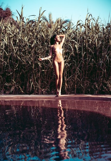 ホットな裸のOnlyFans ポルノ ギャラリー