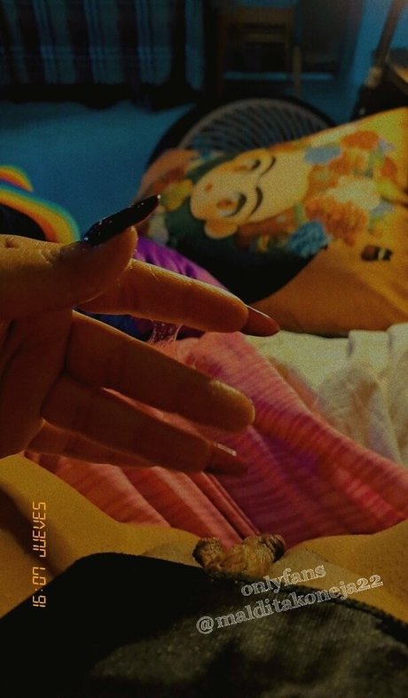 malditakoneja22 ポルノスター 可愛い 写真