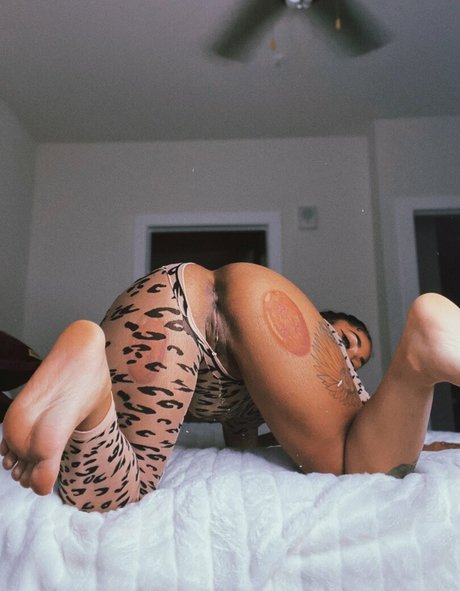 大きな白いチンポ OnlyFans アダルト 写真