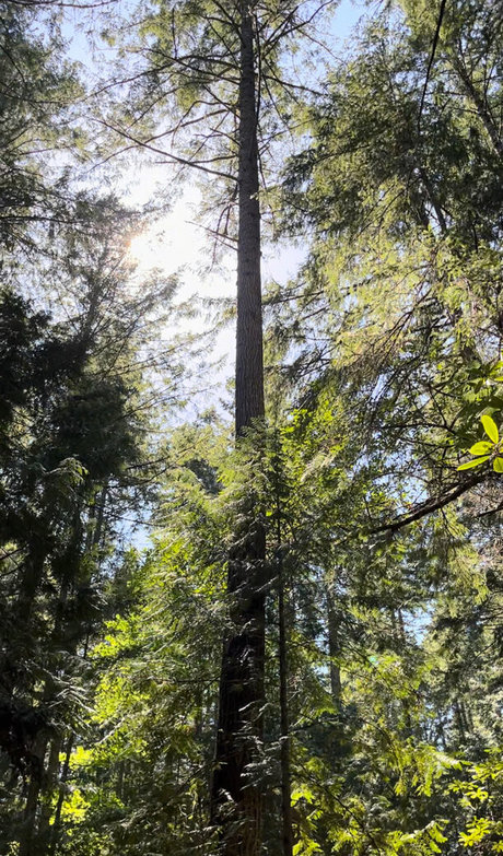 BDSMオンリーファン ポルノ 写真