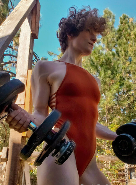 redsreferences 限定スター 画像