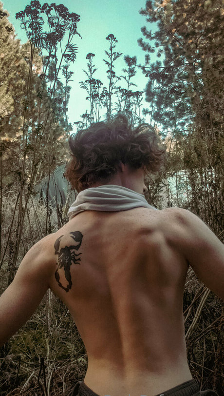 redsreferences 素敵なスター アーカイブ