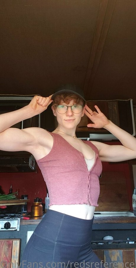 redsreferences HDモデル 画像