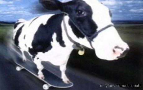 熟女オーガズムOnlyFans パーフェクト 画像