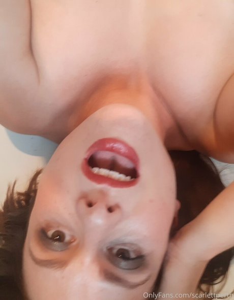 aussielilyfox HDスター 写真