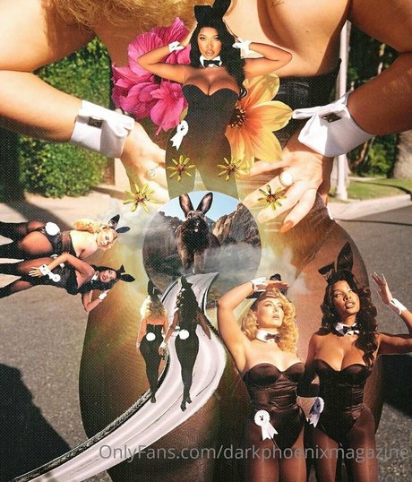 darkphoenixvip 最高のポルノスター 写真