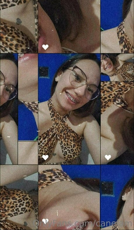 canelam 独占ポルノスター ギャラリー