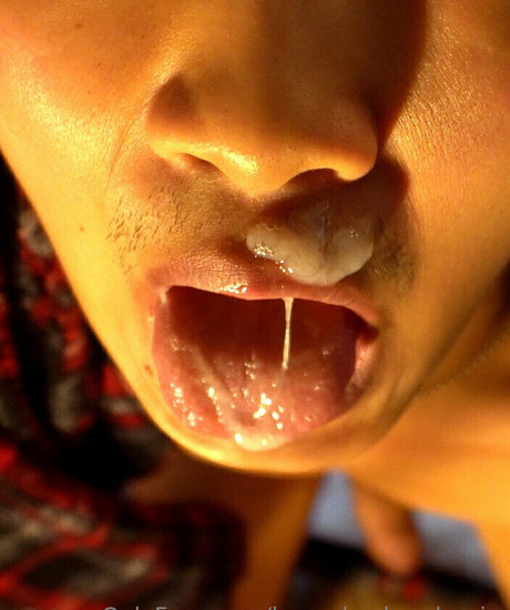 househusbandernie アートスター 画像