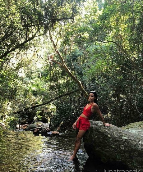 lunalacerda ポルノ女優 画像