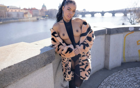 黒人ペニスOnlyFans ポルノ 画像