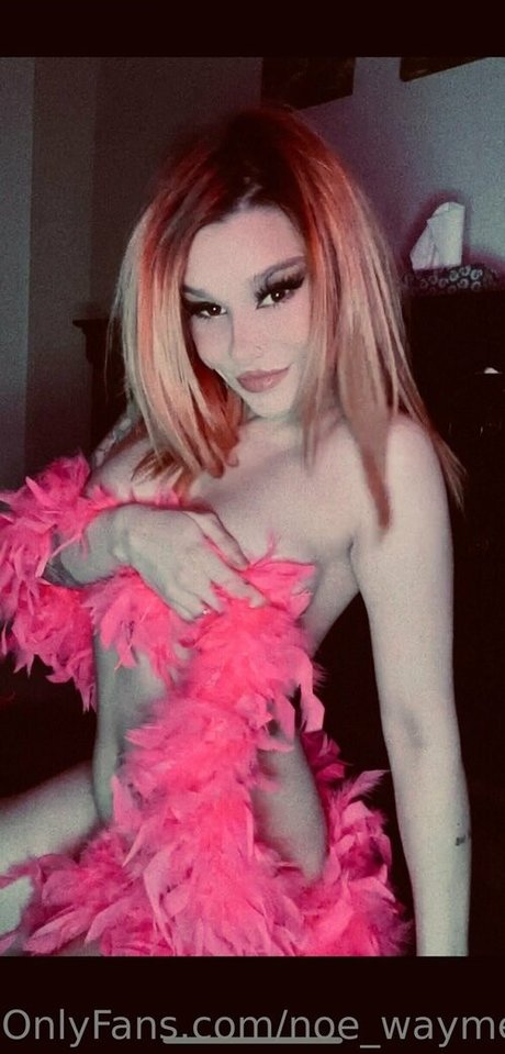 noe waymefree240399 ポルノスター 素敵 写真