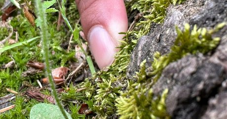 黒人ペニスOnlyFans セックス 写真