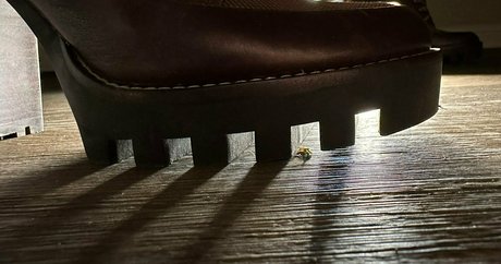 ブラック・ポーグ・オンリーファンズ 無料セックス 写真