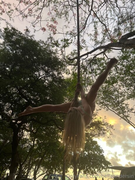 BellaAndersin 美しいポルノスター 写真