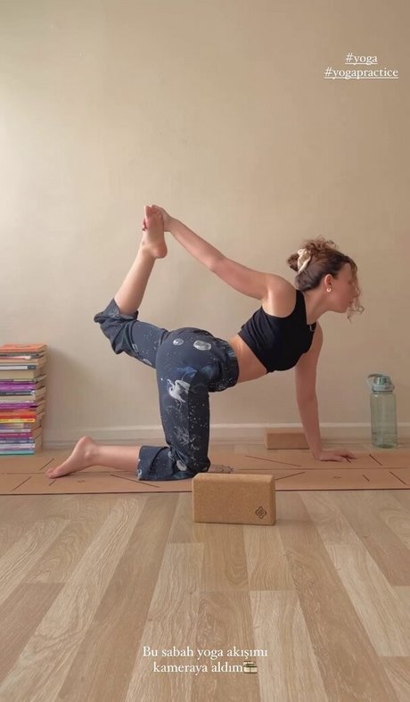 Meltem Koc 限定モデル アーカイブ