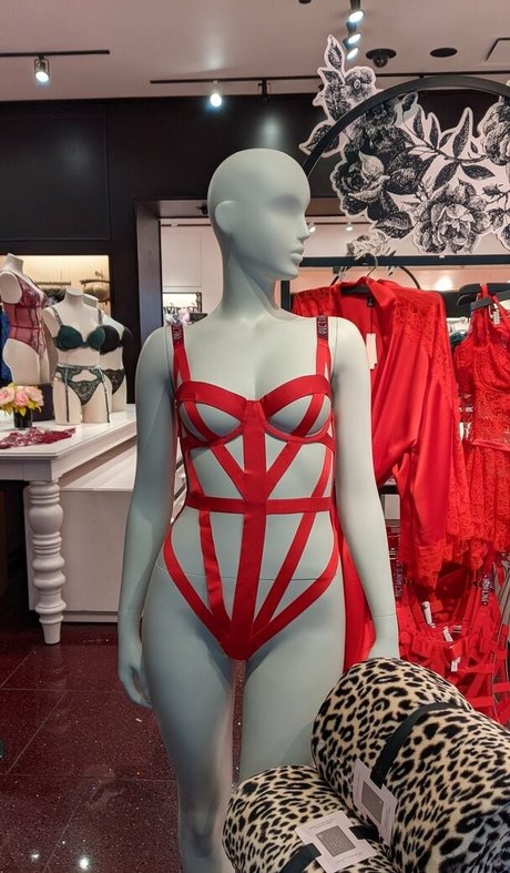 The Sarah Gracie 完璧なポルノスター 画像