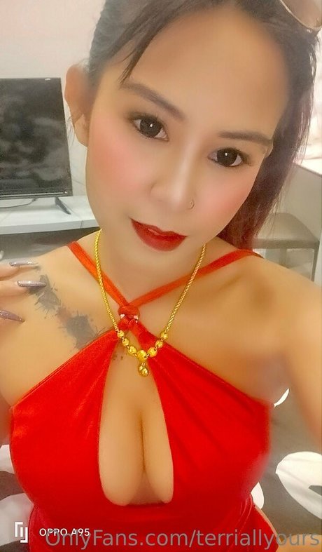 terriallyours 完璧なスター ギャラリー