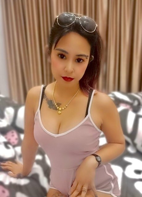 terriallyours 美しいスター 画像