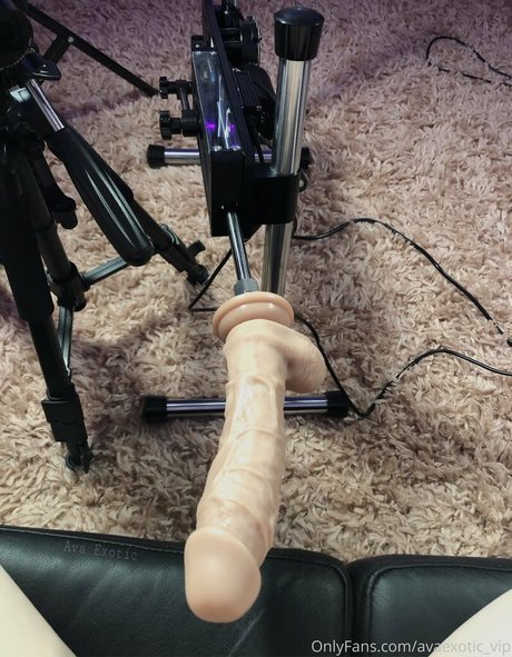 avaexotic vip ポルノスター 無料 ギャラリー