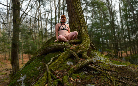 ストリッパーOnlyFans 美しい 画像