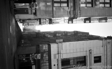 ms nacke ポルノスター 写真