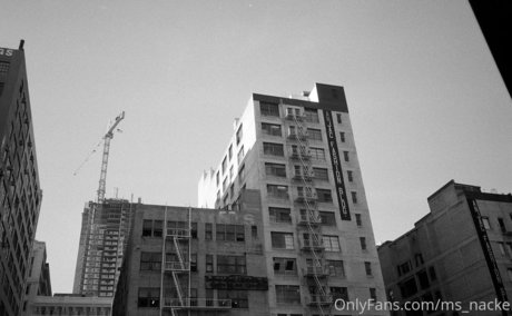 ms nacke 高品質モデル アーカイブ