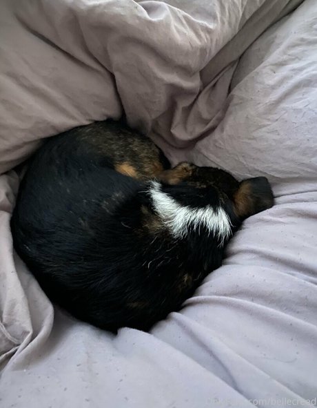 bellecreed 裸の女優 画像