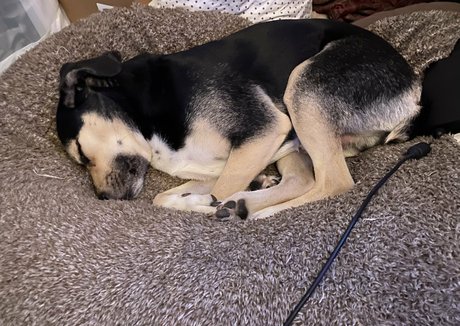 射精 顔射 OnlyFans セクシーxxx アーカイブ