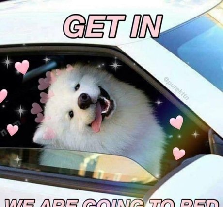 Honeybunnycos ポルノスター ヌード ギャラリー