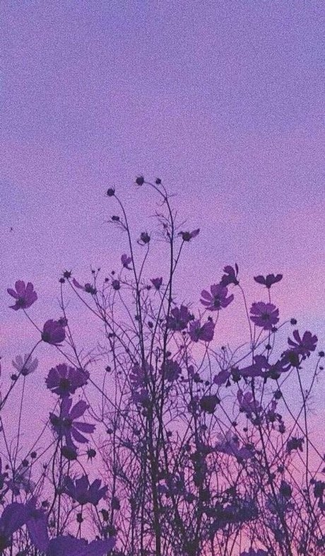 Honeybunnycos ホットなポルノスター 画像