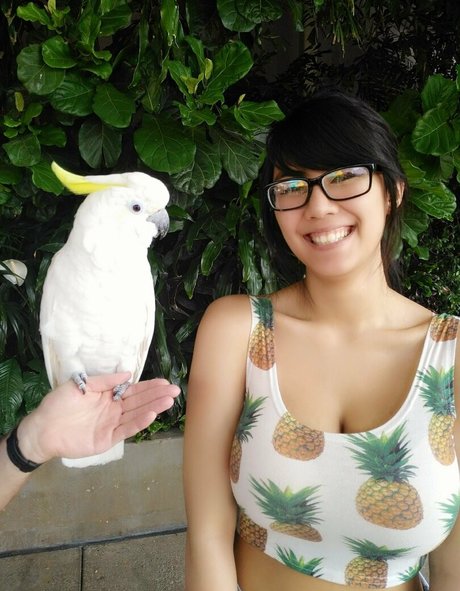 Marine HDモデル 画像