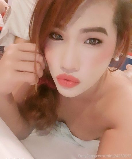 mint24230694 top profile image