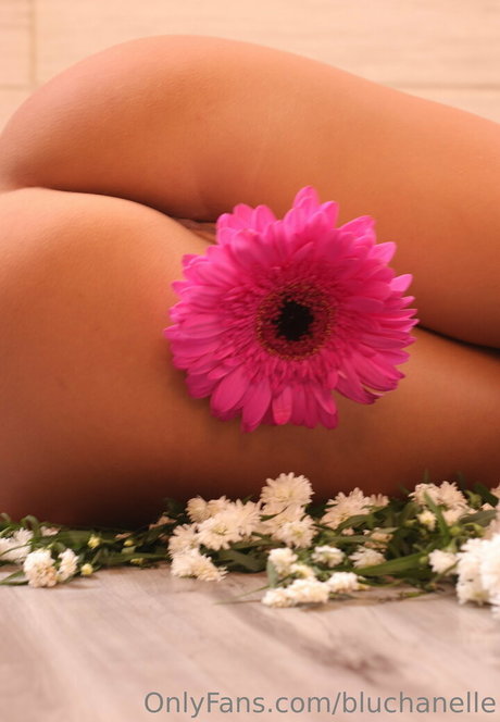 bluchanelle ヌードモデル 写真