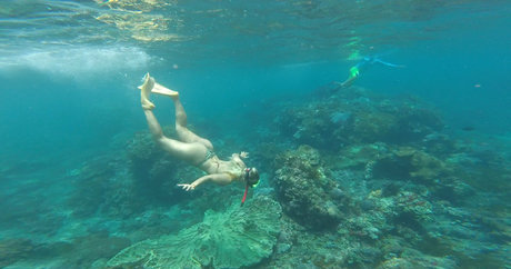 fabinexx ポルノスター 写真