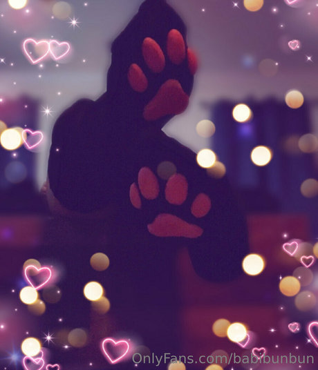 babibunbun 美しいスター 写真