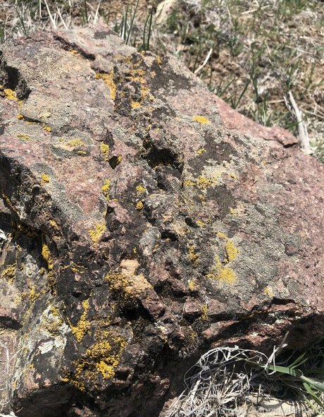 naomiwildman3 xxx女優 ギャラリー