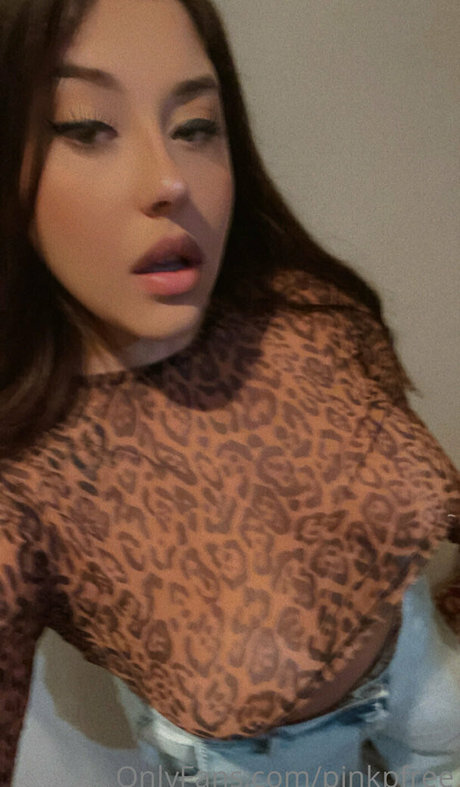 ruivinhafree ヌードモデル 画像