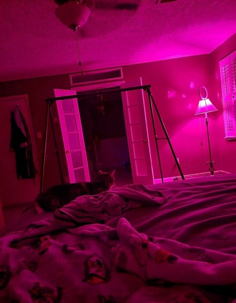 手袋onlyfans ポルノグラフィック 画像