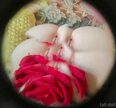 tall doll トップスター 写真